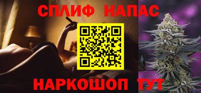 крисы Апшеронск