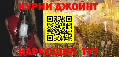 шишки Аргун