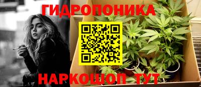 крисы Апшеронск