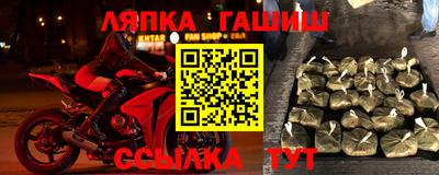 шишки Аргун