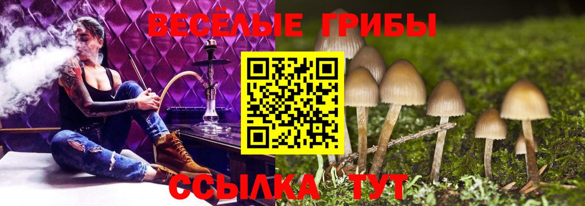 ГАШ  Березники  Каннабис  COCAIN  МЕФ   Вход с VPN  Гашиш 