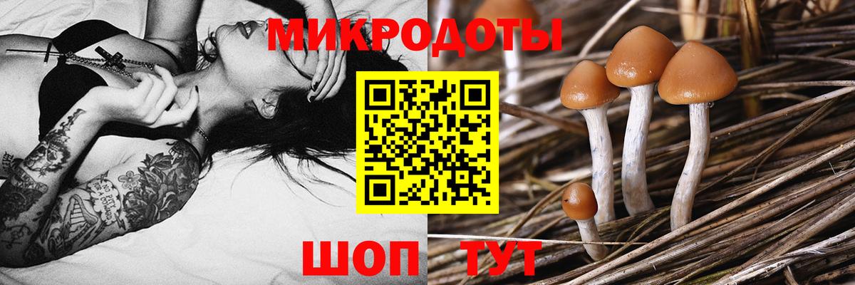 Псилоцибиновые грибы Cubensis  Вход с VPN  Галлюциногенные грибы прущие грибы  Березники 